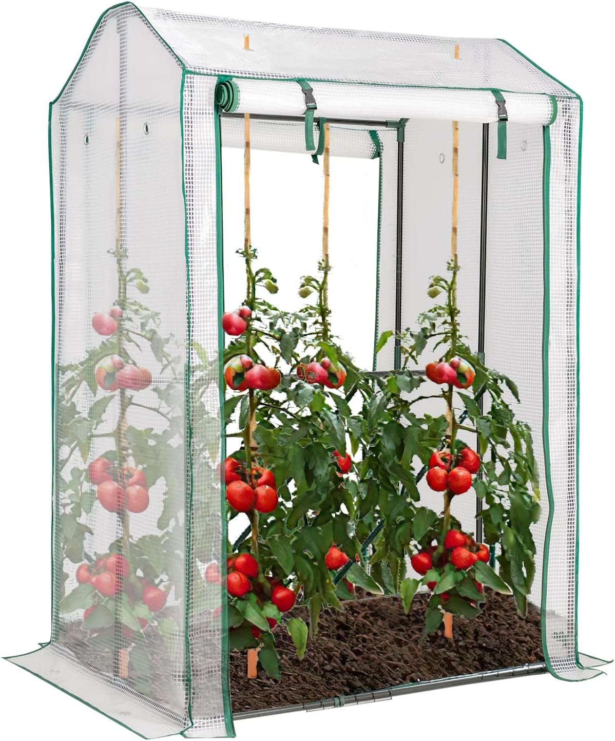 Serra da Giardino Robusta, Mini Serra per Orto e Piante con Telaio in Acciaio, 2 Porte a Cerniera Arrotolabili, Telo in PE, Serra da Eterno per Giardino e Balcone, 100 x 81 x 150 cm