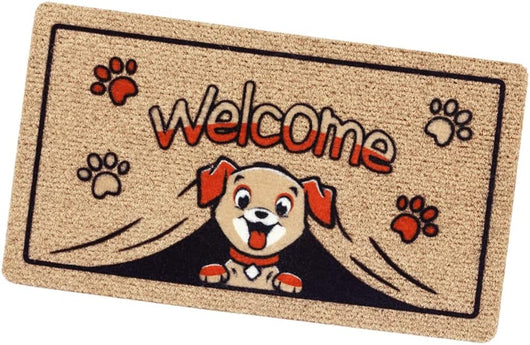 Zerbino Ingresso Antiscivolo Asciugapassi Entrata Assorbente Rettangolare 40X70 cm Dis.P