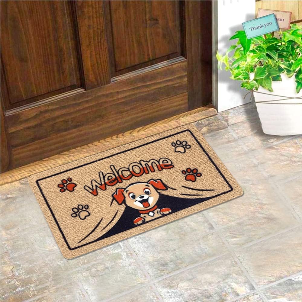 Zerbino Ingresso Antiscivolo Asciugapassi Entrata Assorbente Rettangolare 40X70 cm Dis.P