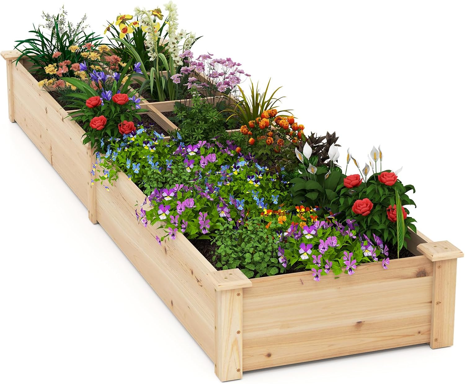 Lettino da Giardino Elevato in Legno con 2 Scatole per Piante e Separatori, Fioriera da Giardino Rialzato in Legno Massiccio da 228 cm per Fiori, Verdure, Frutta e Erbe