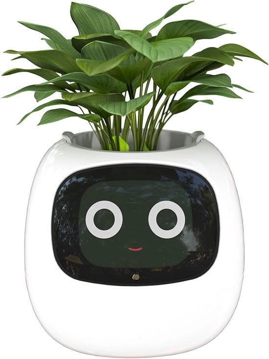 Vaso di Fiori con Intelligenza Artificiale, Display di Temperatura e Tempo e Animazioni Espressive (bianco) per Decorazione Interna