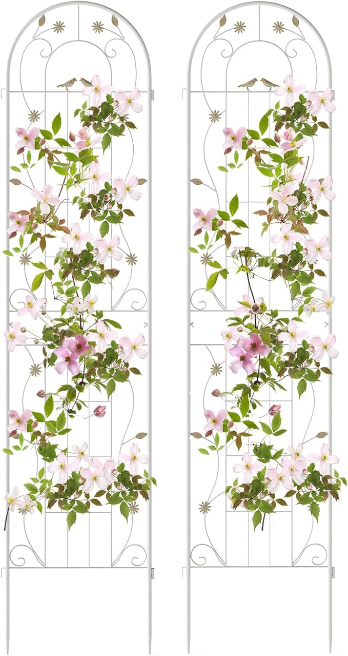 Grigliati per Rampicanti 180 x 50 CM, Set di 2 Tralicci di Metallo Antiruggine per Piante Rampicanti, Rose e Verdure, Decorazione Esterna per Giardino, Cortile e Patio (Bianco)