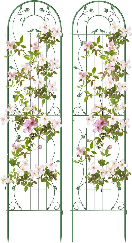 Grigliati per Rampicanti 220 x 50 CM, Set di 2 Tralicci di Metallo Antiruggine per Piante Rampicanti, Rose e Verdure, Decorazione Esterna per Giardino, Cortile e Patio (Verde)