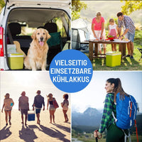 Set 6 sacche del Ghiaccio 200ml per Borsa Termica ghiaccini siberini