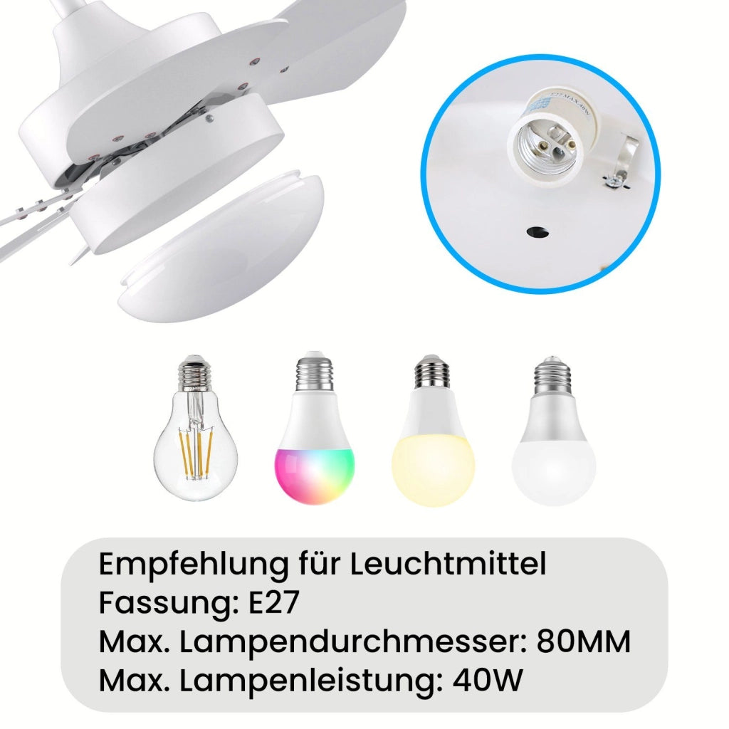 ZMH Ventilatore da Soffitto con Luci e Telecomando 6 Pale 75 cm Timer per Camera da Letto Cucina Senza Lampadina