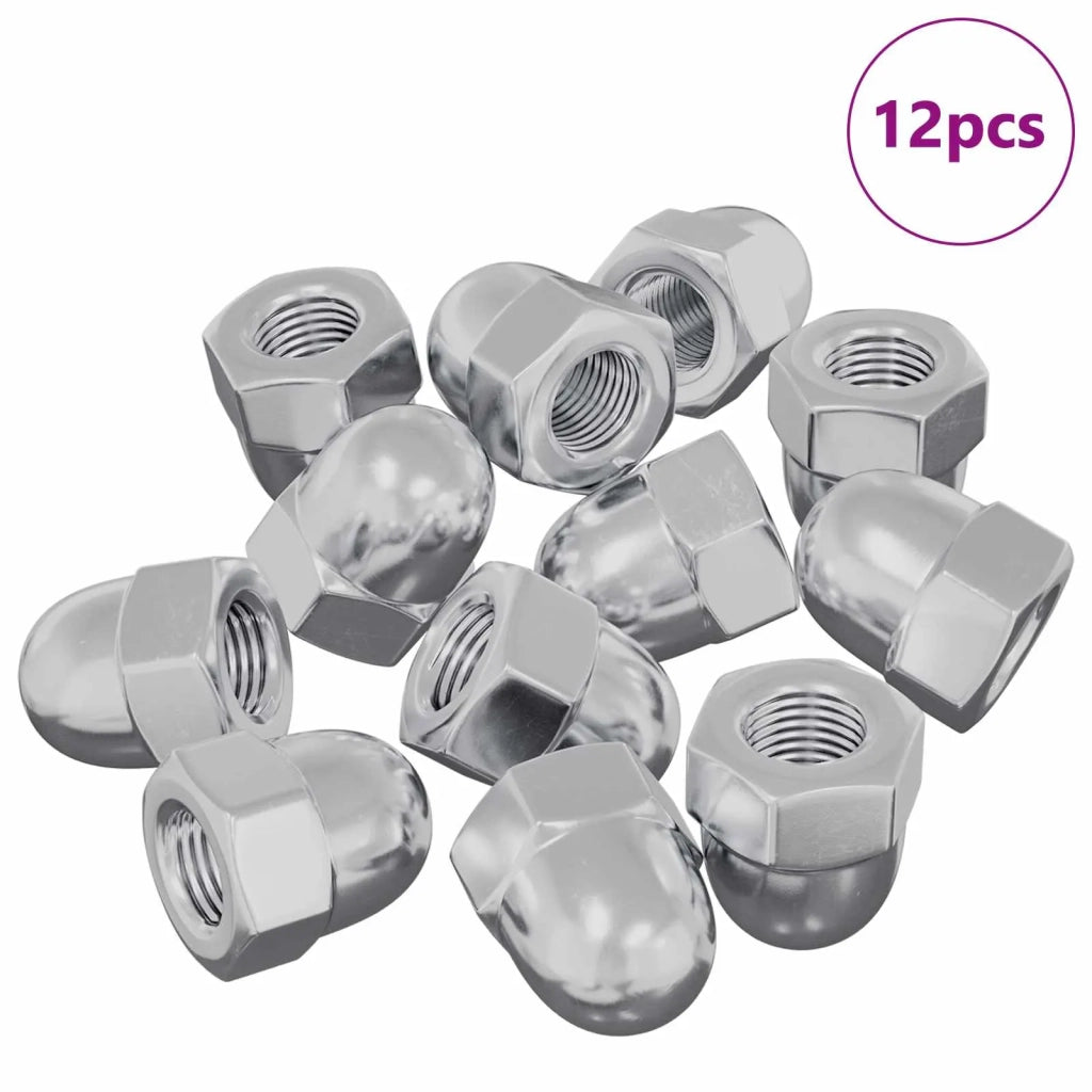 Dado 12 pcs Argento M6 x 10 mm Ferro 864602