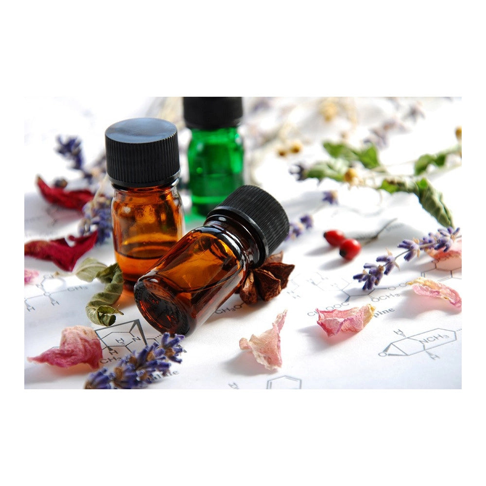 Trade Shop - Set 12 Oli Essenziali Biologici Naturali Al 100% Puri Per Diffusori Aromaterapia -