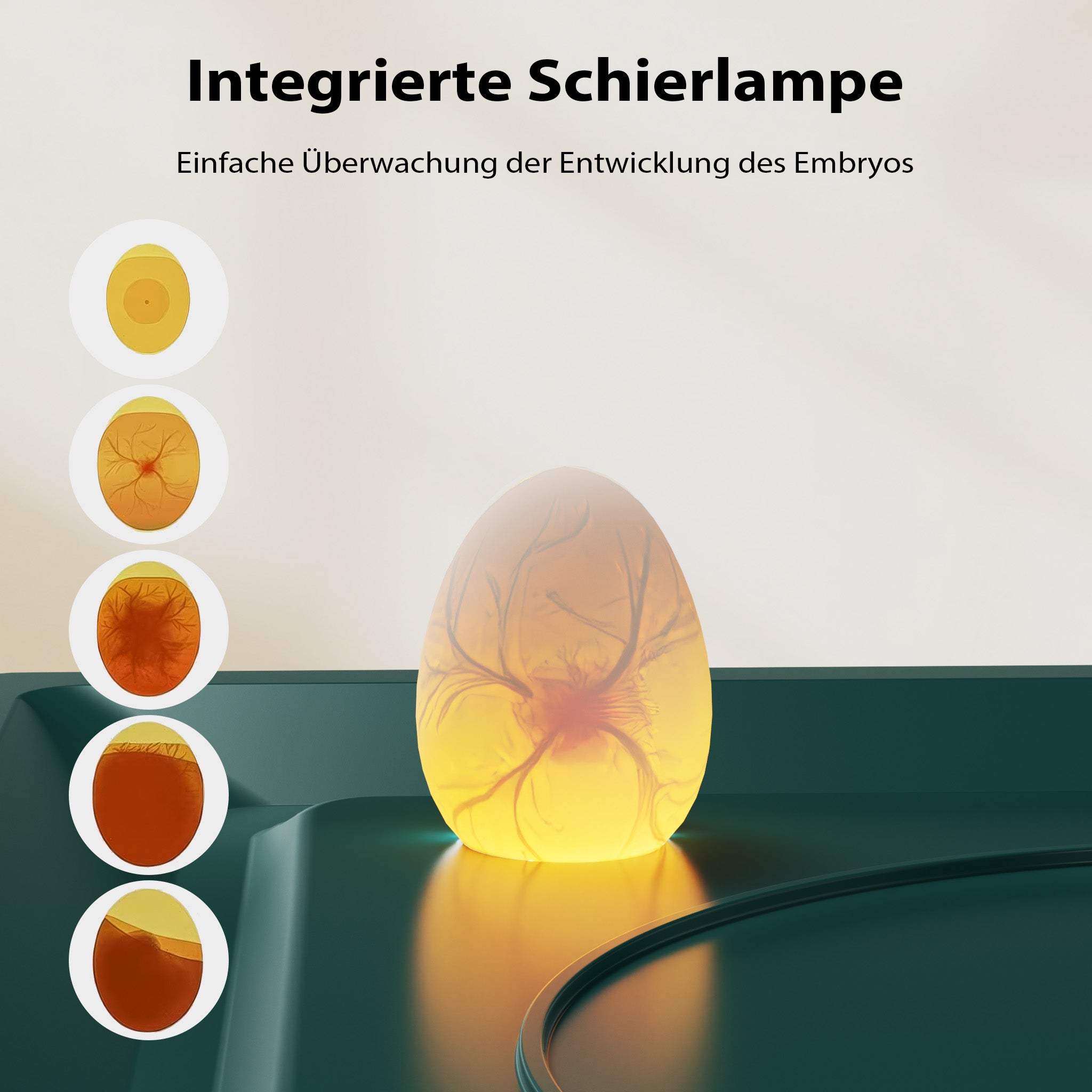 Fudajo Incubatrice di superficie completamente automatica 48 uova Covatrice polli, anatre, pulcini