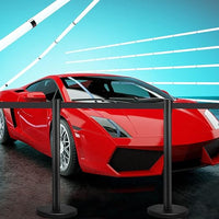 4 Paletti di Delimitazione, Barriera in Acciaio Inox per Code, Colonnine Segnapercorso Transenna Eliminacode Separacode, Ideale per Hotel Ristorante Cinema (Nero)