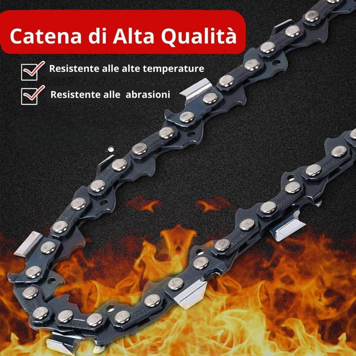 Motosega a Batteria per Potatura, Sega Elettrica 12 Pollici con 2 Batterie