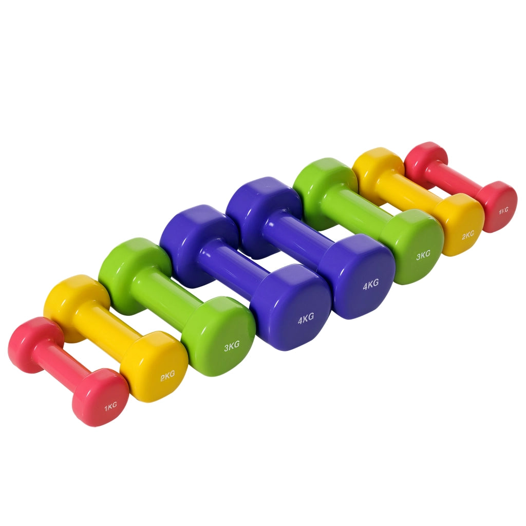 Set 4 Manubri Esagonali in Acciaio e PU ¨C zephmum ¨C Multicolore 1-4kg Totale 20kg
