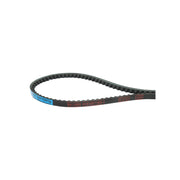 Cinghia di trasmissione AVX 10X1165 La