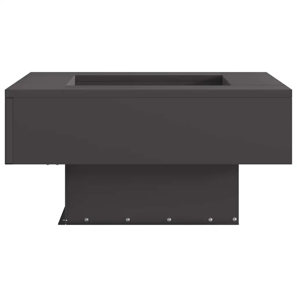 Focolare Nero 60 x 60 x 30 cm Acciaio 858954