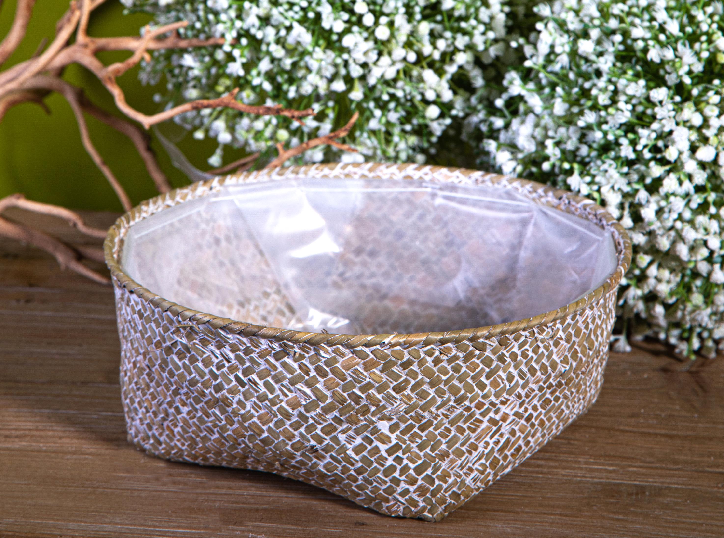 Set 4 Ciotole Contenitore Larghezza cm2