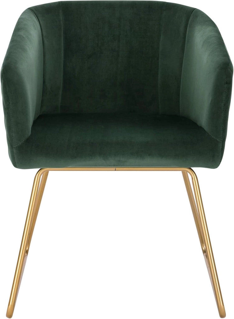 1x Sedie cucina moderne Poltroncina salotto Adatte per Sala da pranzo Soggiorno, Camera da Letto, Tessuto di velluto, Oro Metallo, Verde Scuro BH271dgn-1