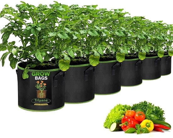 Zak per la coltivazione di piante - 30 cm - 20 litri - riutilizzabile - tessuto non tessuto