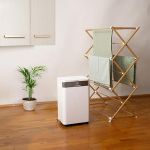 Innoliving Deumidificatore 20L, Modalità Asciugatura, Gas R290 Eco-Friendly, Timer 24h, Digitale, Capiente, Sbrina Autom, Serbatoio 4.3 Litri