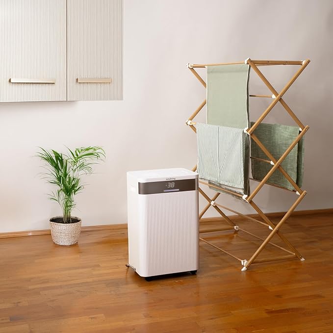 Innoliving Deumidificatore 20L, Modalità Asciugatura, Gas R290 Eco-Friendly, Timer 24h, Digitale, Capiente, Sbrina Autom, Serbatoio 4.3 Litri