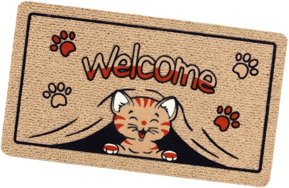 Zerbino Ingresso Antiscivolo Asciugapassi Entrata Assorbente Rettangolare 40X70 cm Dis.E