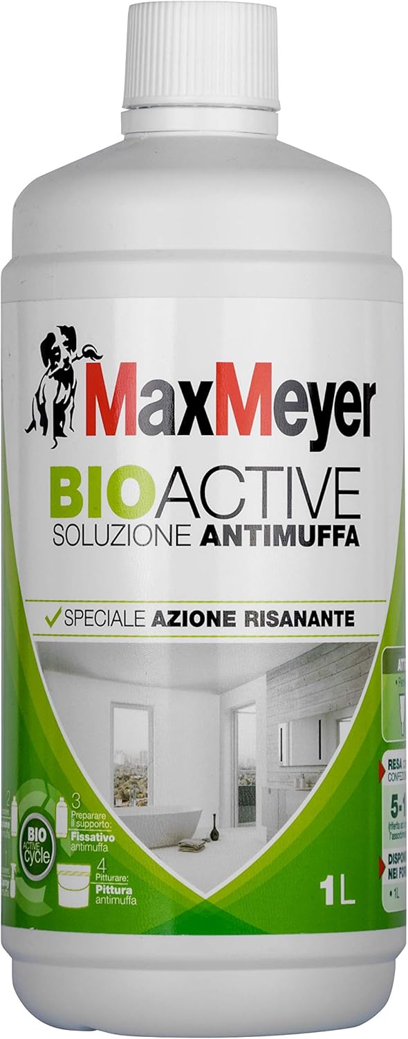 Soluzione Risanante Antimuffa per Interni BIOACTIVE, Incolore, 1L