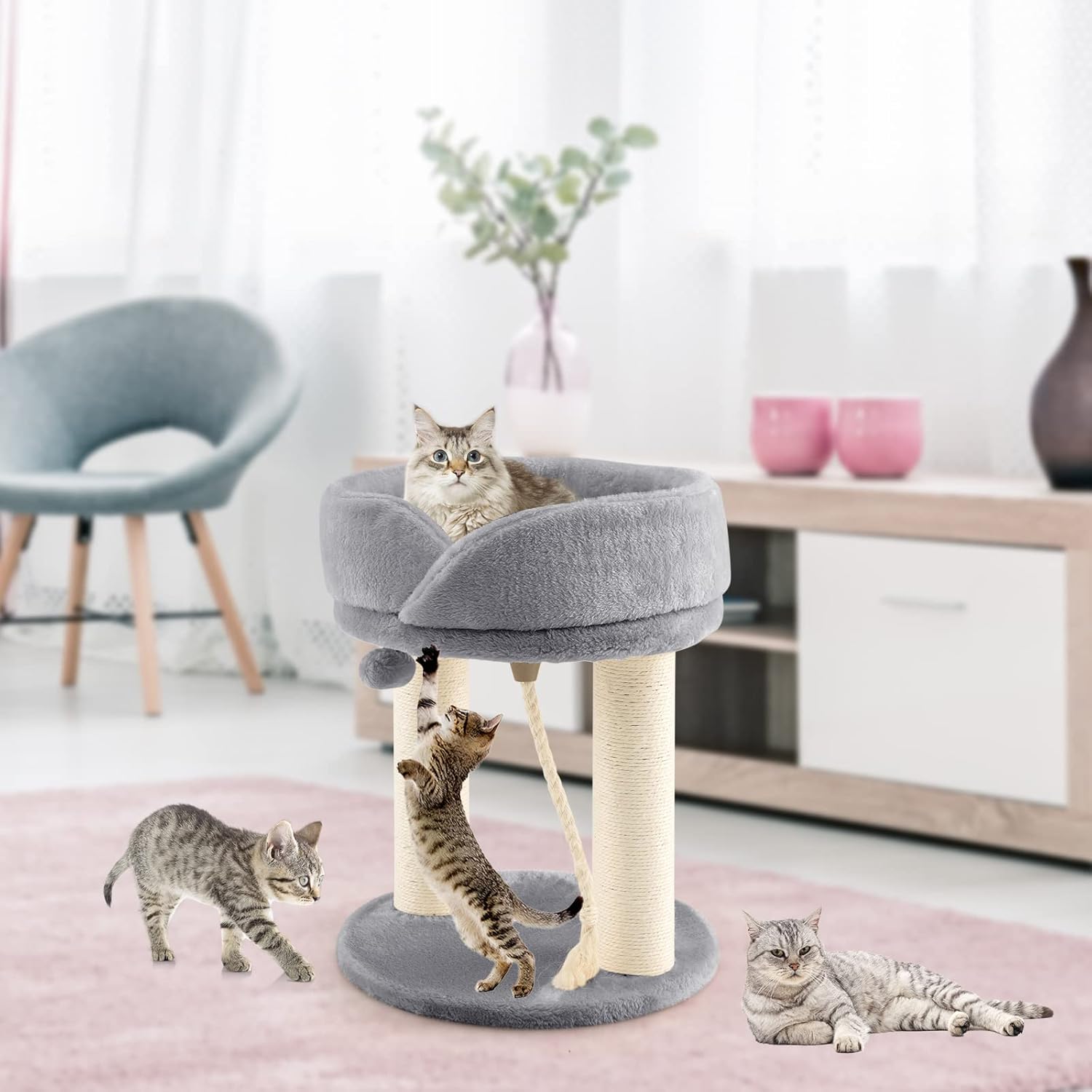 Tiragraffi per Gatti, Albero Tiragraffi Gatto con Cuccia in Peluche, Pallina, Corde e Tiragraffi in Sisal, Tiragraffi da Divano in Legno per Gatti Piccoli, 43 x 43 x 53 cm (Grigio)