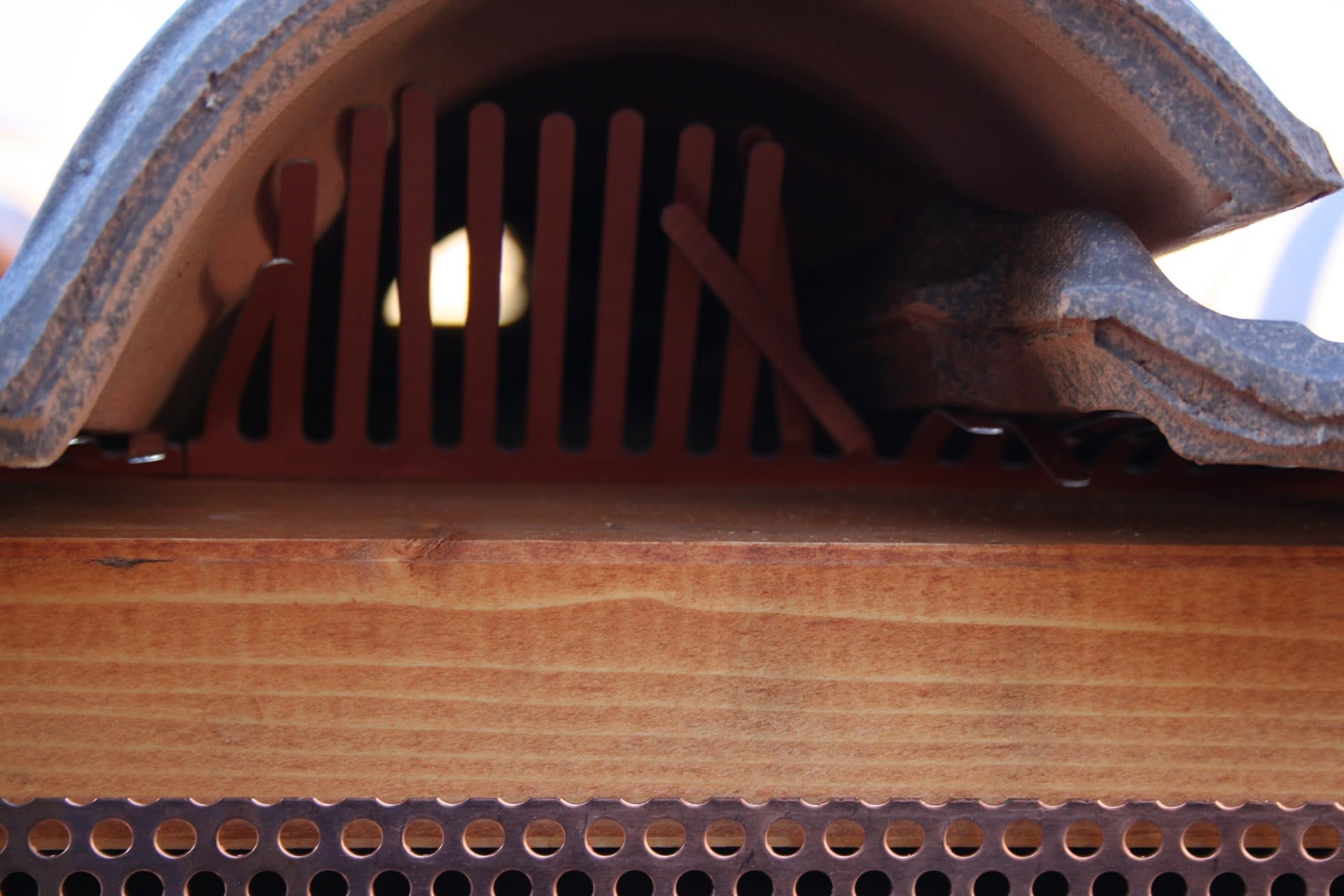 Rimedi Coperture Dissuasore Pettine Parapassero 50 Pezzi Spessore 6/10 Altezza 6 mm, Parapasseri 1 m