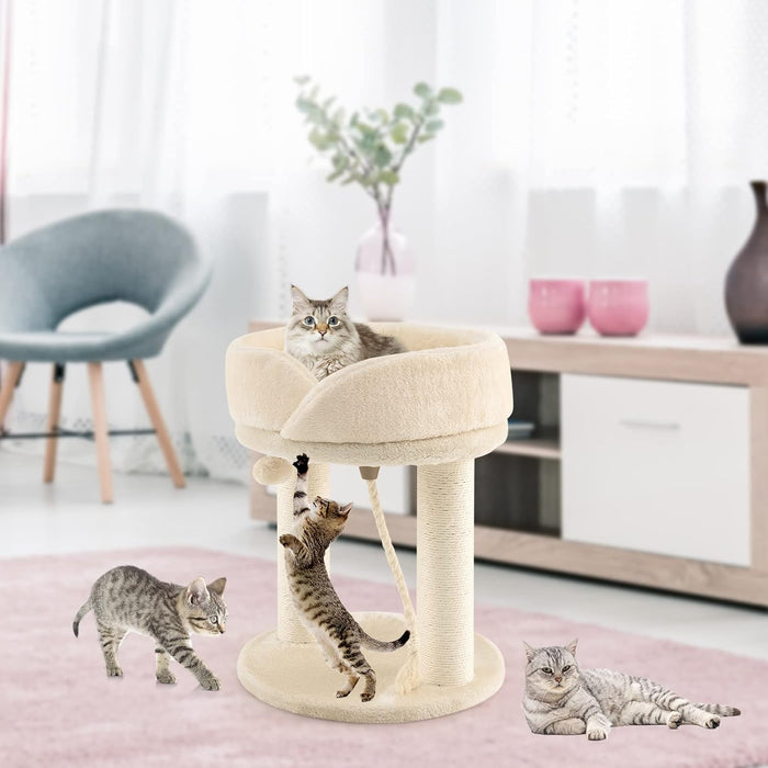 Tiragraffi per Gatti, Albero Tiragraffi Gatto con Cuccia in Peluche, Pallina, Corde e Tiragraffi in Sisal, Tiragraffi da Divano in Legno per Gatti Piccoli, 43 x 43 x 53 cm (Beige)