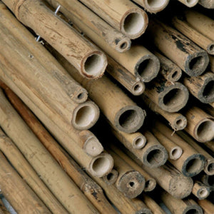 ARELLA CANNICCIO BAMBOO STUOIA CANNETTE CANNA PASSANTE Ø14-18mm DIM. 3X2m 4F