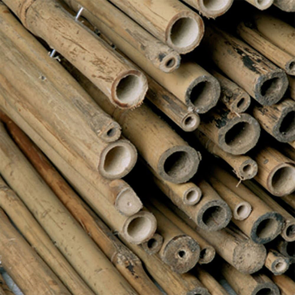 ARELLA CANNICCIO BAMBOO STUOIA CANNETTE CANNA PASSANTE Ø14-18mm DIM. 3X1,5m 4F