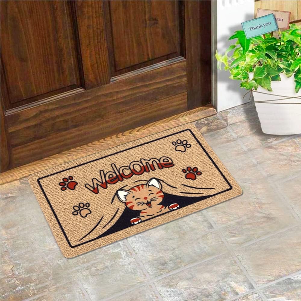 Zerbino Ingresso Antiscivolo Asciugapassi Entrata Assorbente Rettangolare 40X70 cm Dis.E