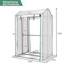 Serra da Giardino Robusta, Mini Serra per Orto e Piante con Telaio in Acciaio, 2 Porte a Cerniera Arrotolabili, Telo in PE, Serra da Eterno per Giardino e Balcone, 100 x 81 x 150 cm