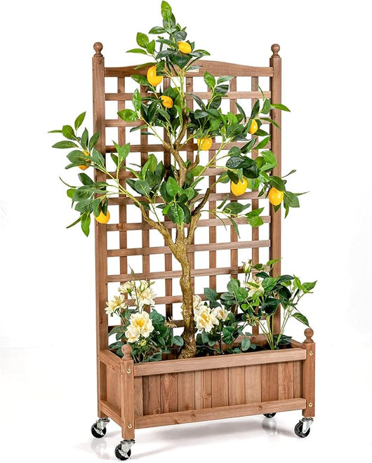 Fioriera in Legno Massiccio con Traliccio, Letto per Piante Rampicanti con Grigliato, Ruote Bloccabili e Foro di Drenaggio, Fioriera da Giardino, Terrazza e Cortile