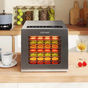 Essiccatore per frutta da 850W con timer 48 ore, Controllo temperatura 35¡æ-75¡æ per carne Argento