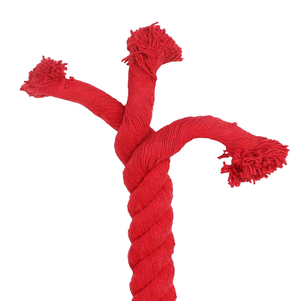 Corda Rosso 5 x 5 x 1000 cm Cotone