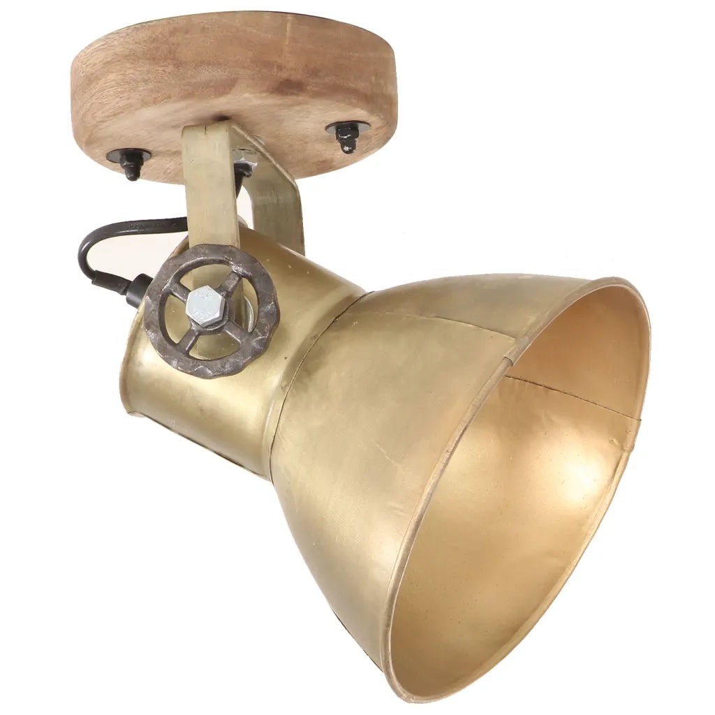 Lampade da Parete/Soffitto 2 pz Industriale Ottone 20x25 cm E27 CFW6361922