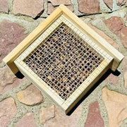 Ospitale per Insetti in Legno per Apis Selvatiche e Insetti - Naturale e Sostenibile