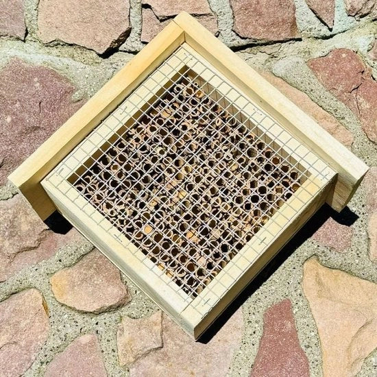 Ospitale per Insetti in Legno per Apis Selvatiche e Insetti - Naturale e Sostenibile