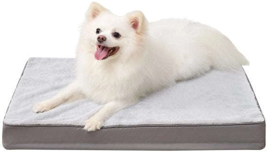 Letto per piccoli cani ortopedico, cuscino per cani lavabile 60x45cm, lettini per cani con copertina rimovibile, gomma per cani bidirezionale e reversibile, colore grigio
