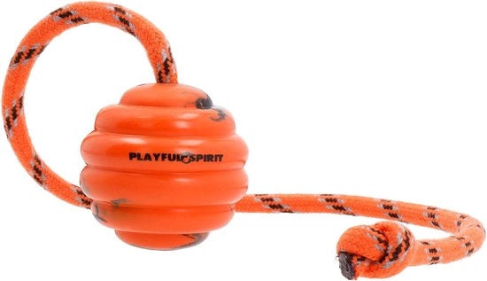 Giocattolo per cani in gomma naturale su corda: gioco di apprendimento perfetto con esercizi e premi - giocattolo per cani di medie dimensioni per cacciare, catturare, lanciare e tirare la corda - durata di gioco felice garantita