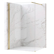 Parete Doccia Rea Flexi Transparent / Brush Gold 130