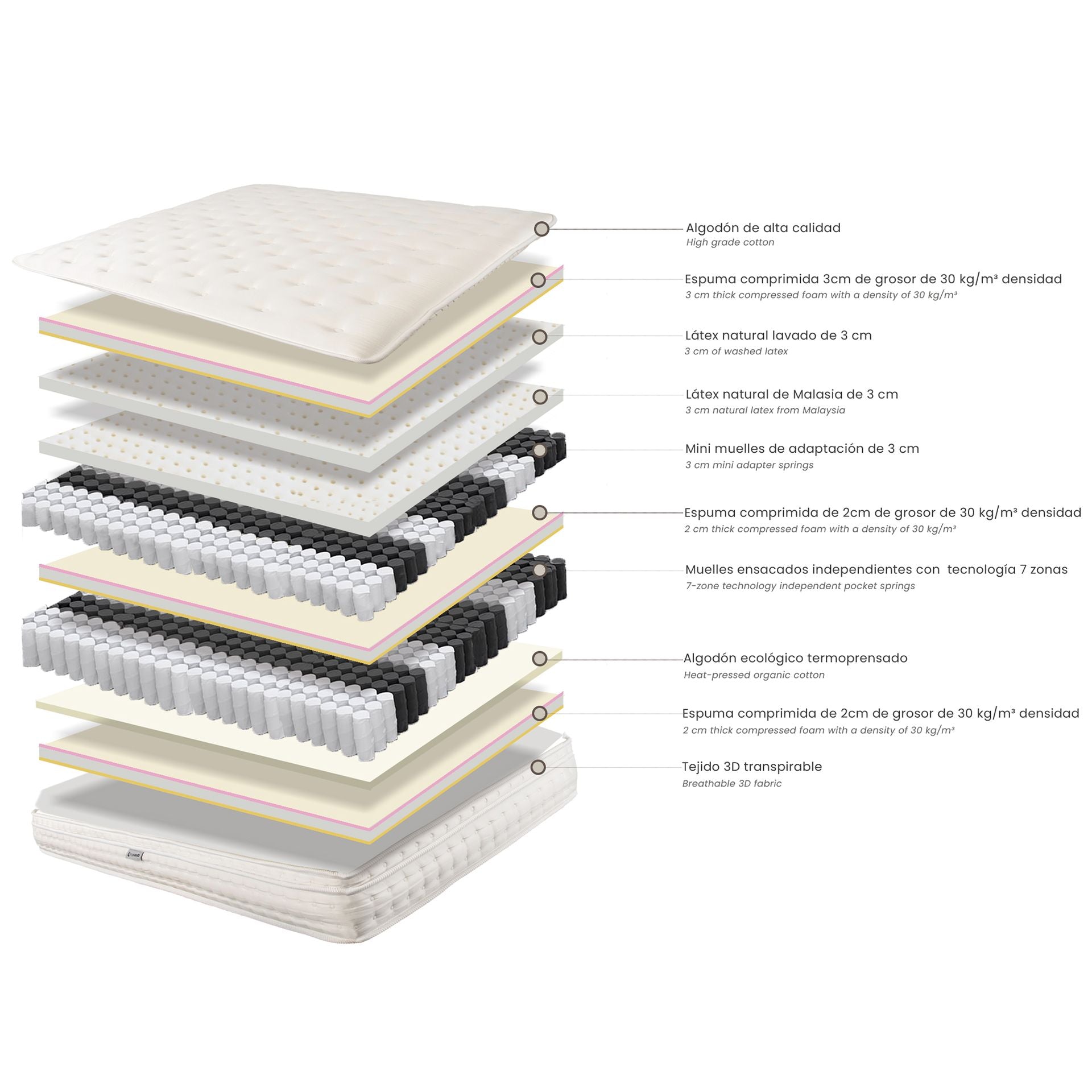 Materasso ibrido in lattice naturale con mini molle e molle insacchettate a 7 zone 180x200