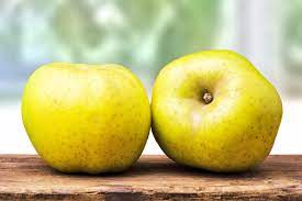 MELA RENETTA - Pianta da frutto frutta Foto Reali Mela Nobile