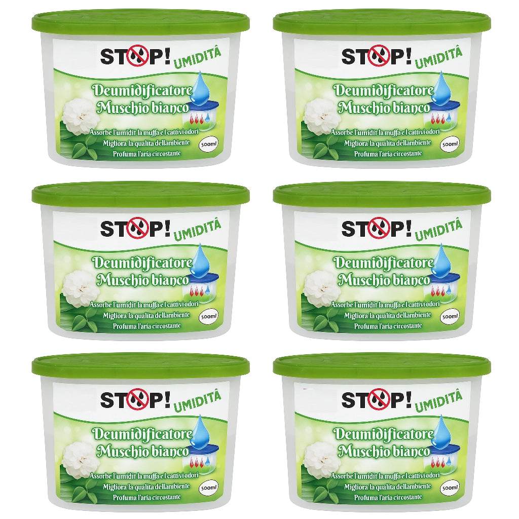 6pz Deumidificatore Casa Portatile 500ml contro Muffa Assorbi Umidità Muschio Bianco