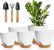 Set di 5 vasi di plastica con sistema di irrigazione - 178/165/152/139/127 cm - Auto-irrigazione - Supporto - Rond - Interno/balcone/cortile - Piante/piante grasse/cactus - Bianco