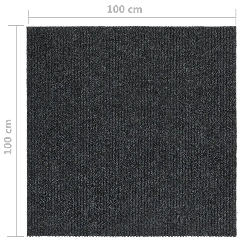 Tappeto del soggiorno | Tappeto Corsia Acchiappa Polvere 100x100 cm Antracite