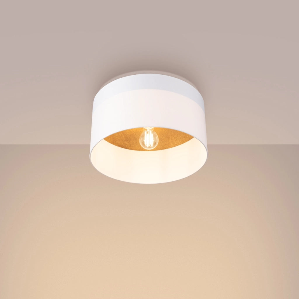 Lampada da soffitto TELESTO bianco/marrone chiaro