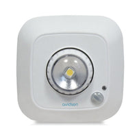 LUCE DI CORTESIA PER ARMADI