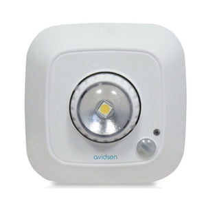 LUCE DI CORTESIA PER ARMADI