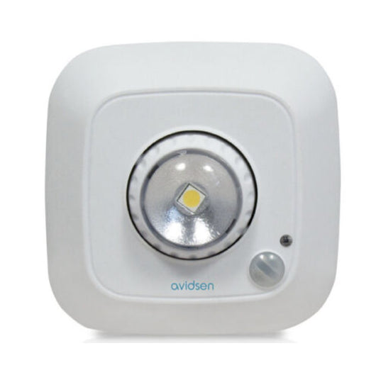 LUCE DI CORTESIA PER ARMADI