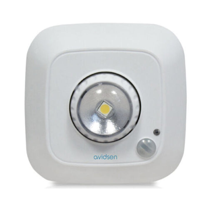 LUCE DI CORTESIA PER ARMADI